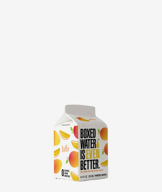 250ml mango carton on gray background