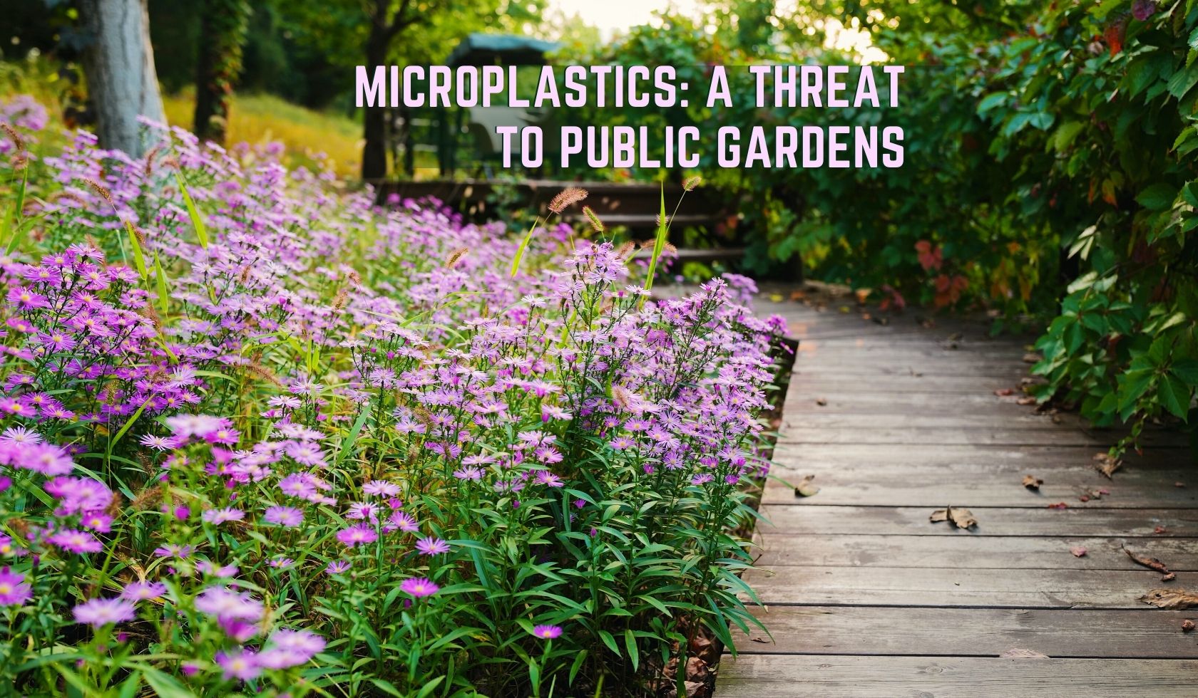 Microplastics Are Wreaking Havoc On Our Public Gardens