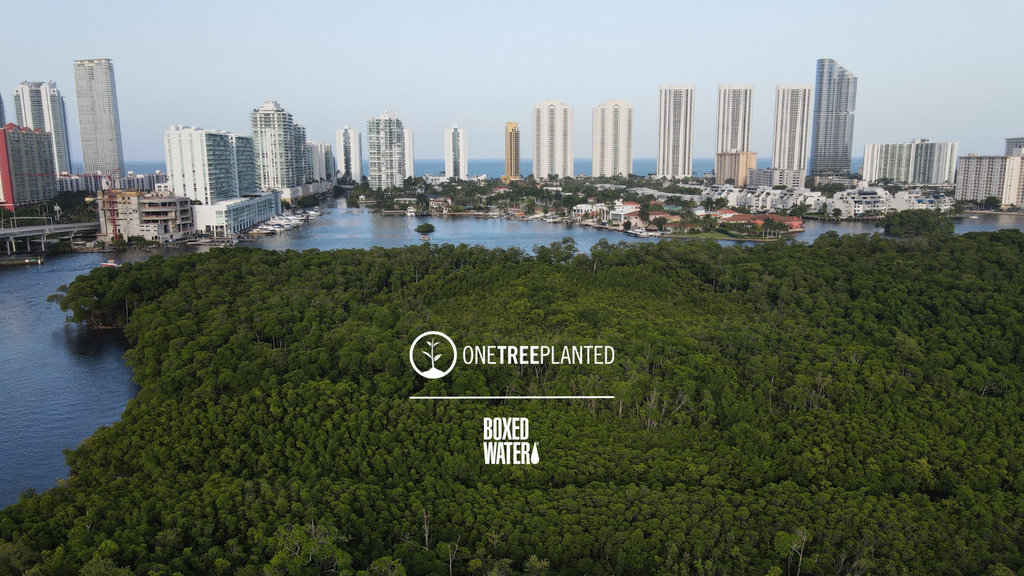 One Tree Planted logo with Boxed Water logo