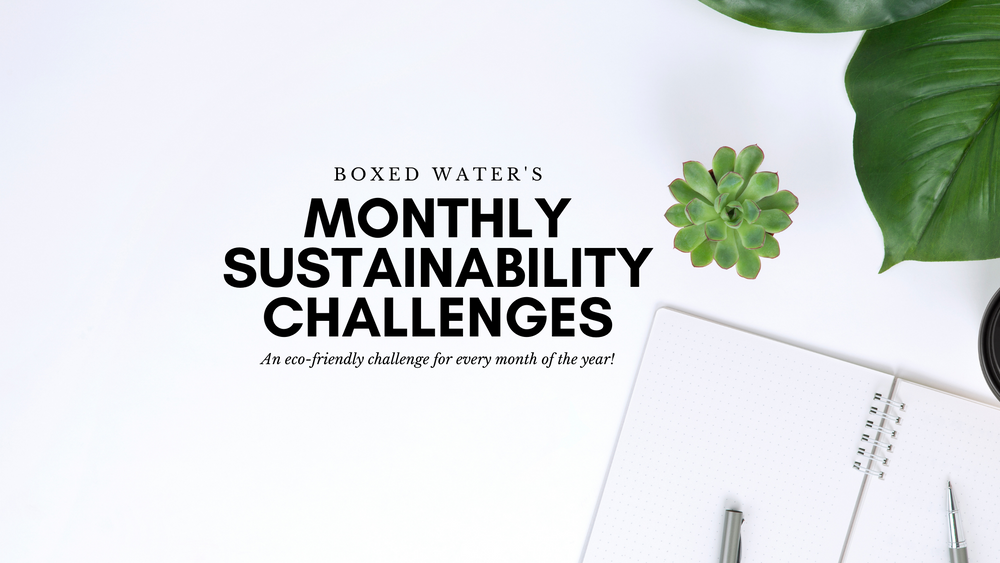 notebook and housplants on a table with overlayed text reading "Monthly sustainability Challenges"