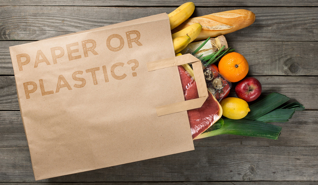 Groceries spilling out of a paper bag with text reading: paper or plastic? 