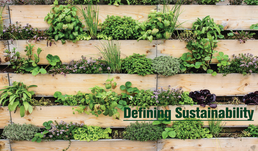 Plants in wooden planters. Headline Text: Defining sustainability 