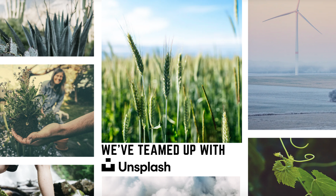 Photo collage of nature with text overlayed reading "We've teamed up with Unsplash"