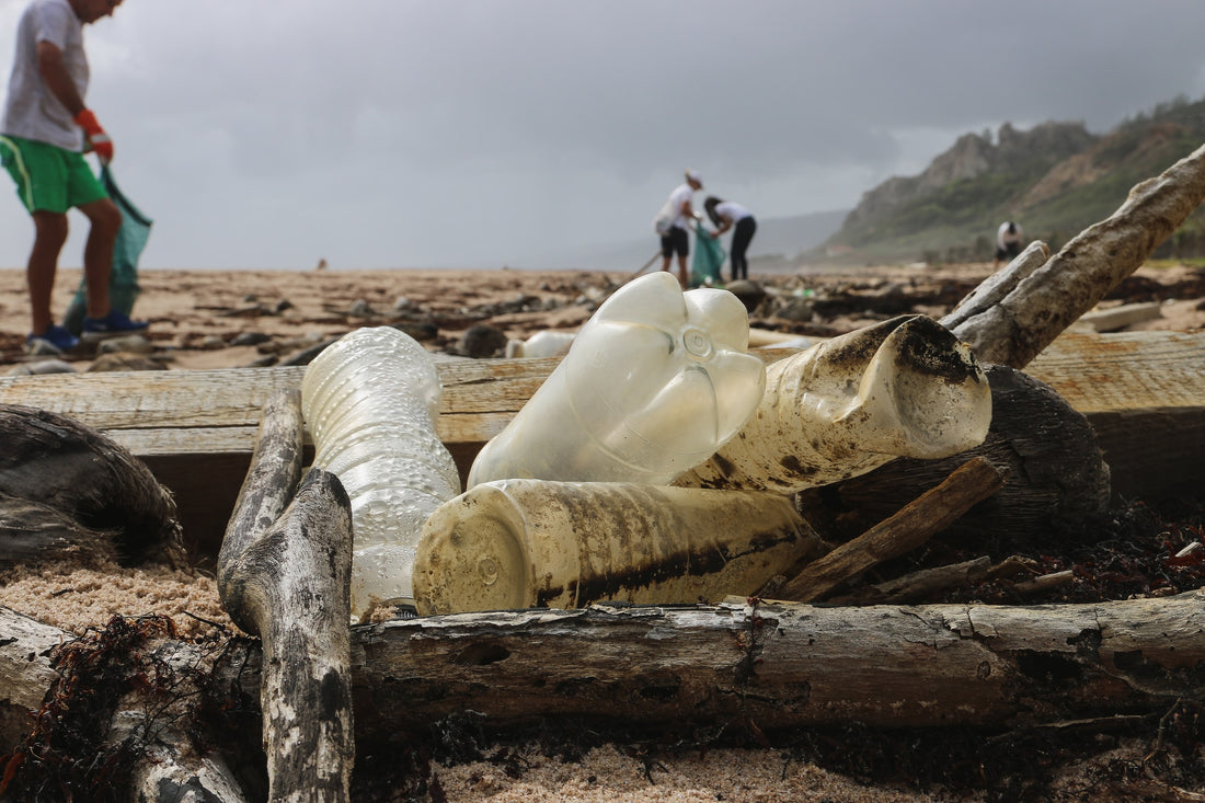 Dirty plastic bottles on the beach 