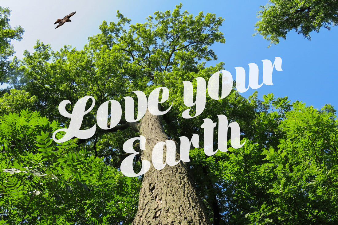 Large tree. headline text: Love the Earth 