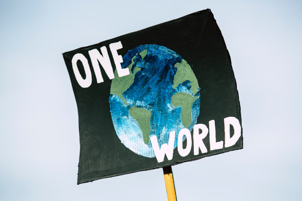 4 Easy Ways To Participate in Climate Week 2020