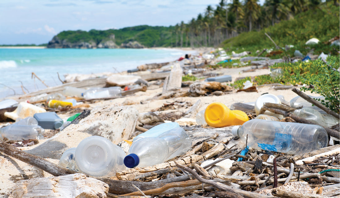 Heaps of trash on the beach