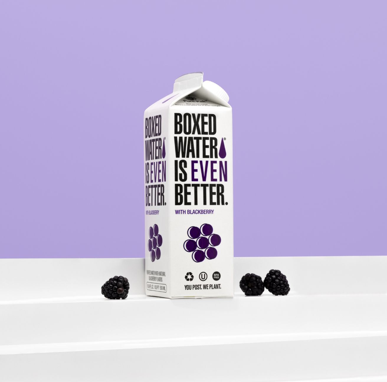 Blackberry Boxed Water in front of a purple background