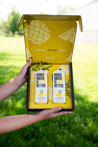 2-Pack Pineapple 500ml Boxed Water