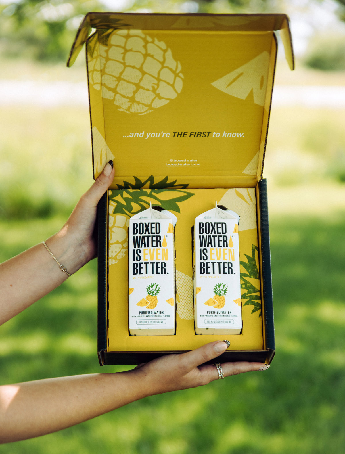 2-Pack Pineapple 500ml Boxed Water