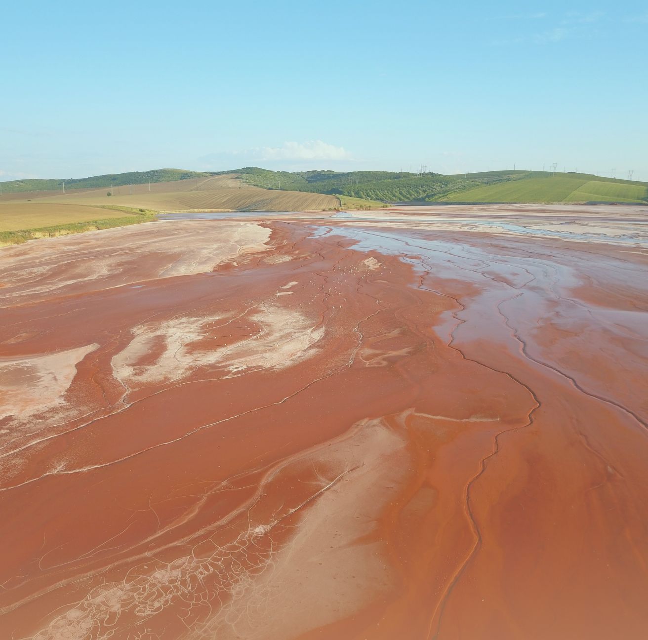 red sludge in field