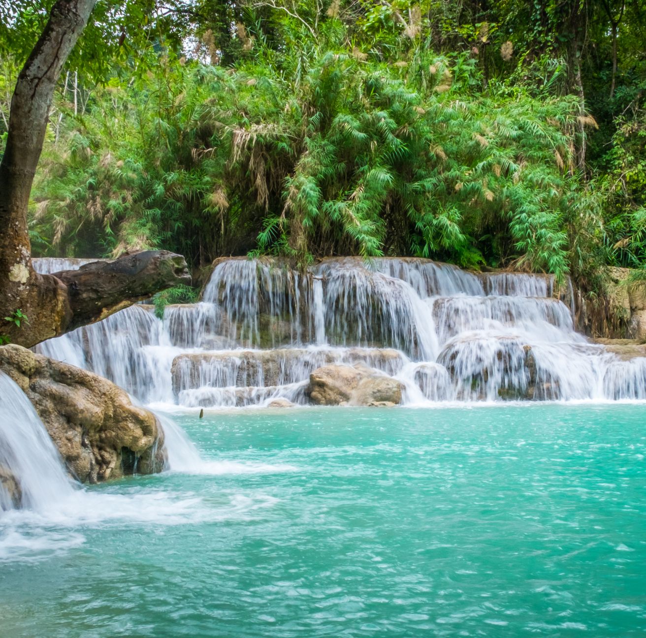 waterfall in rainforest