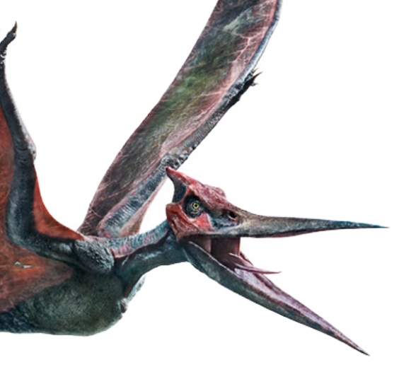 Jurassic Park Pterodactyl
