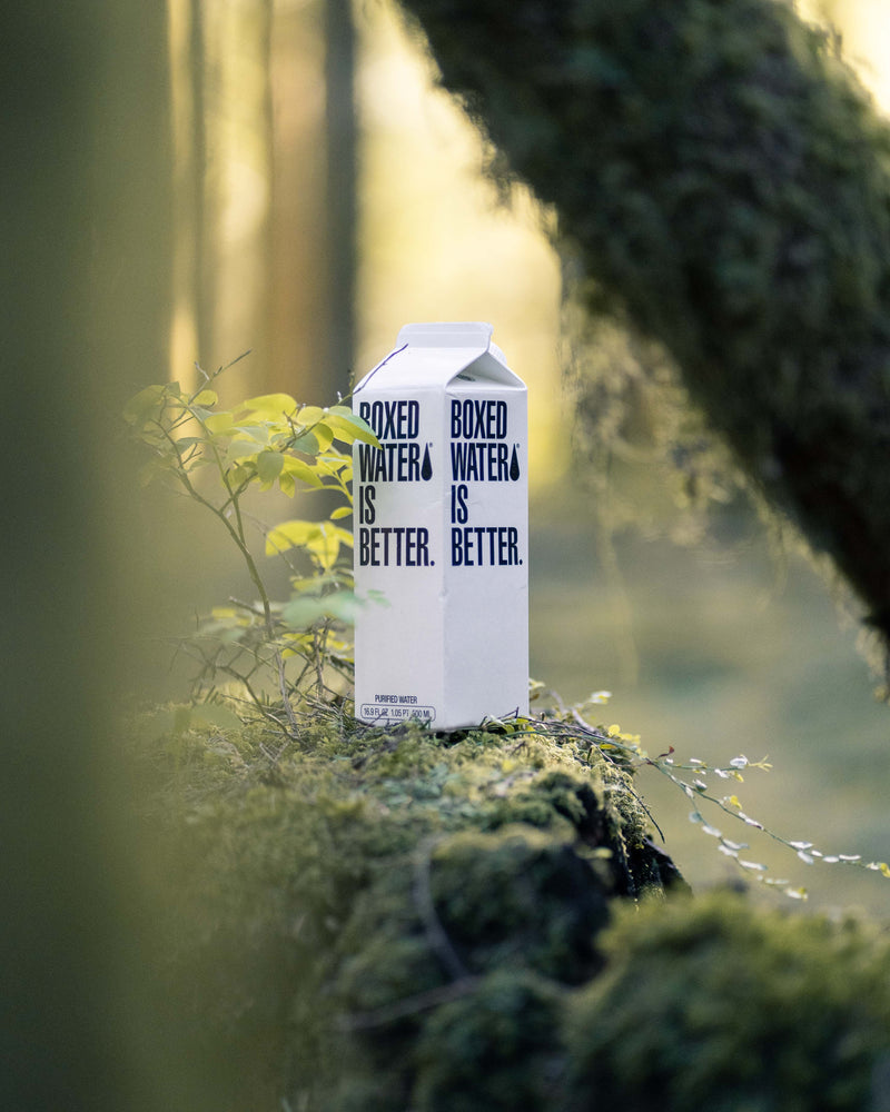 Original Boxed Water in a forest 