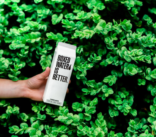 250ml Boxed Water – Boxed Water Is Better