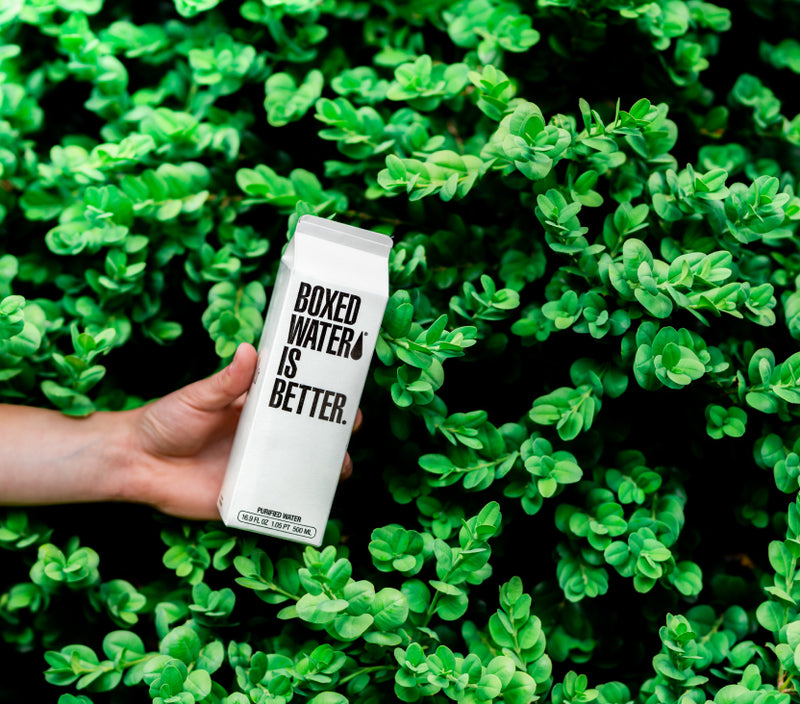 500ml Boxed Water – Boxed Water Is Better