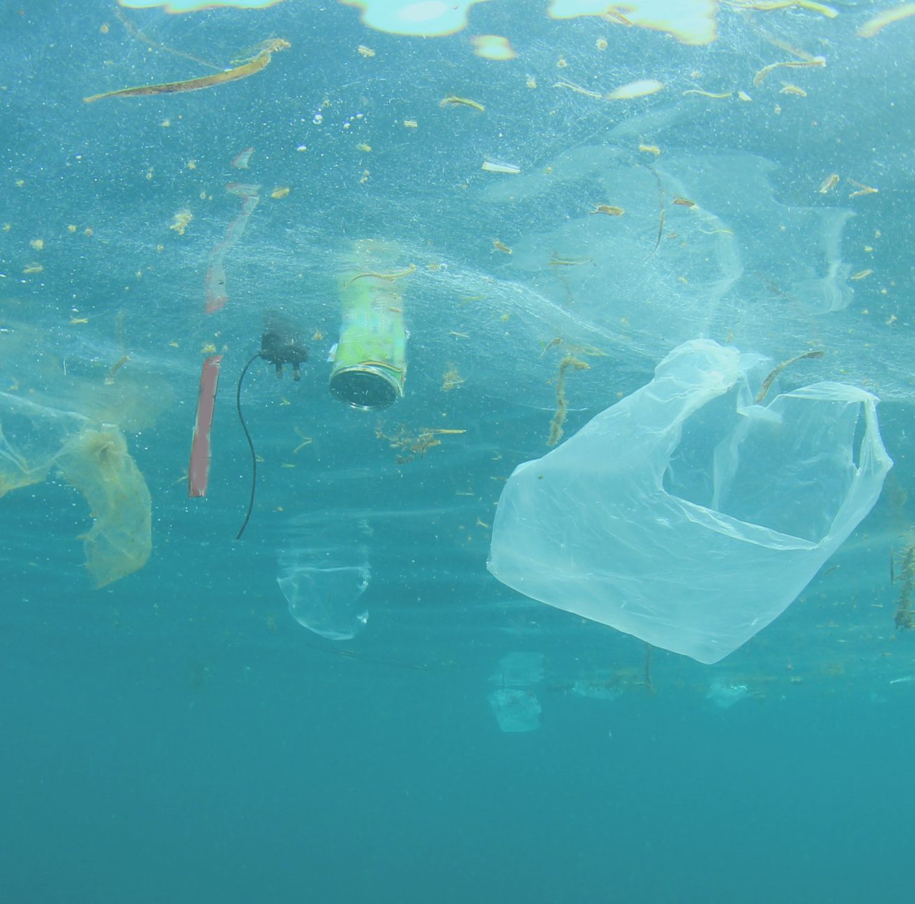 plastic trash floating in ocean